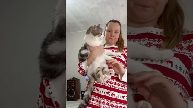 Mom teaches Lera how to care for her pet #shorts #tiktok #lerochka #mom #family смотреть онлайн