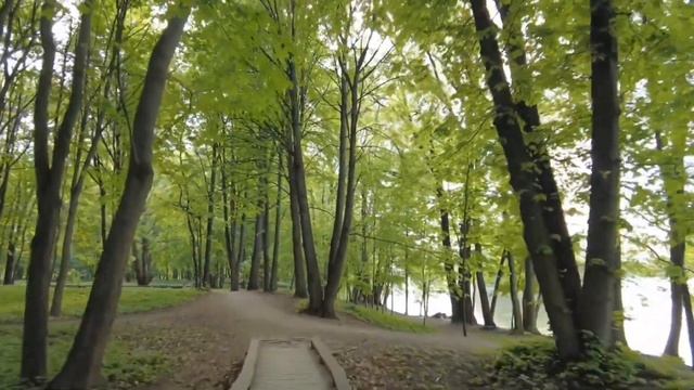 Остров птиц в Минске, популярное место для отдыха горожан #беларусь #минск смотреть онлайн