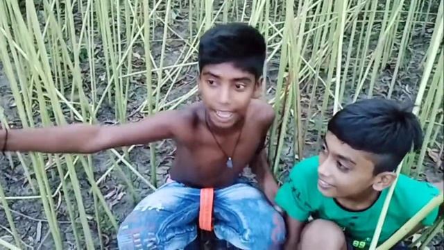 রাজিবুল প্রিয়া প্রেম কাহিনী ফানি ভিডিও লাভ স্টোরি Raju tv 000 смотреть онлайн
