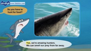 Meet the Animals 1_ Great White Shark _ Level 2 _ By Little Fox
