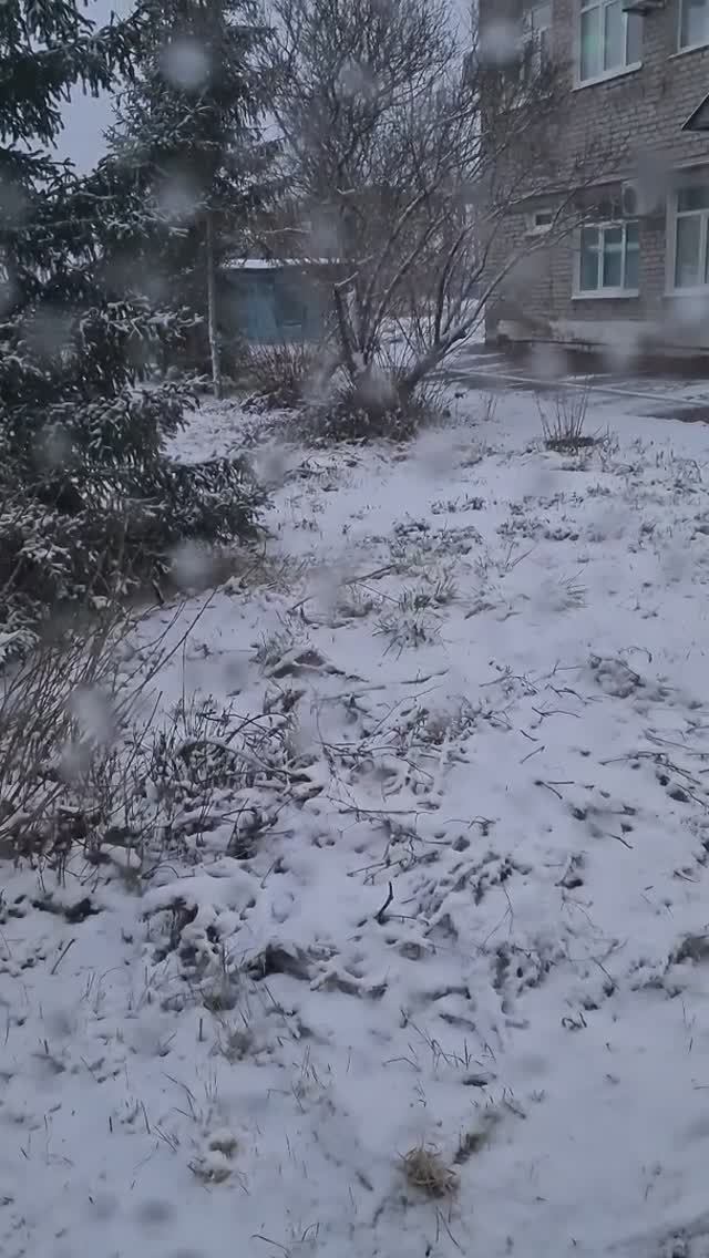 Первый снег Лежит на земле смотреть онлайн