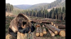 Попаданцы Аудиокниги : Попаданец из тайги в игру ч 1