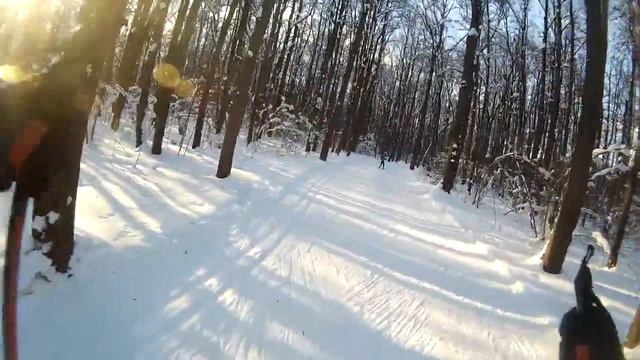 Дубровицы лыжи укор смотреть онлайн