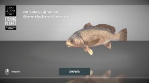 Fishing Planet. Озеро Сент-Круа. Пробуем закрывать водоём! Белый басс, Уник Пресноводный горбыль.