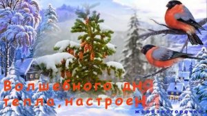 Доброе Зимнее Утро! С Добрым Утром!