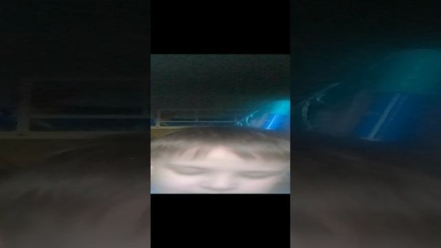 леплю из пластилина из мир дэнди