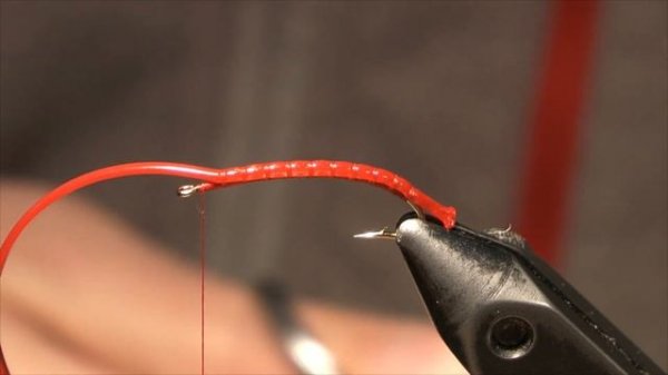 Tying a Bloodworm Fly