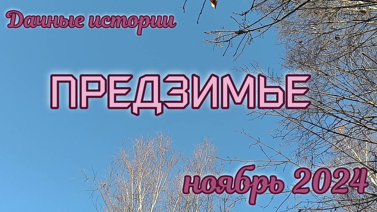 ПРЕДЗИМЬЕ смотреть онлайн