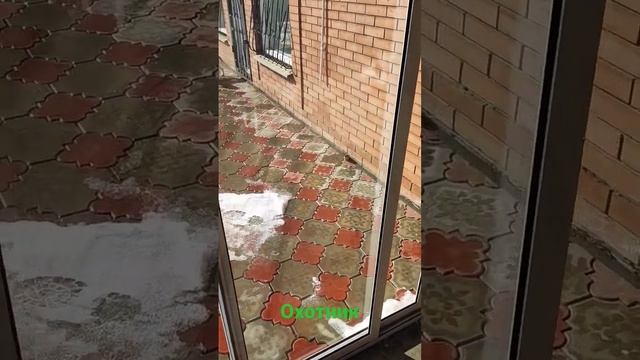 1 марта 2023 г.