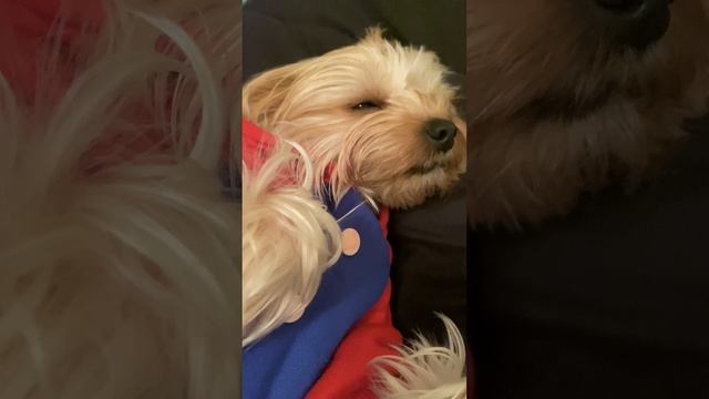 Та самая колыбельная