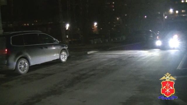 В Юрге заключен под стражу злоумышленник, который ограбил пенсионерку ради наркотиков смотреть онлайн
