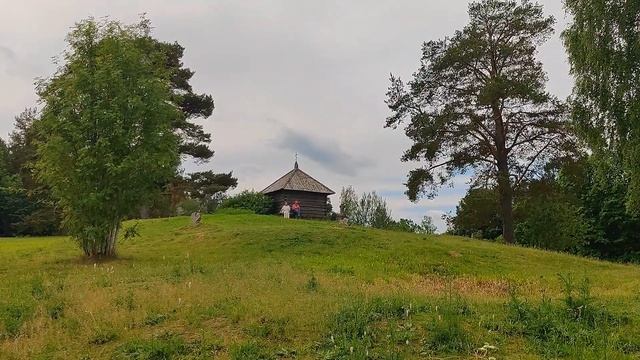 САВКИНА ГОРКА - моё любимое место в Пушкинских горах, 7 июня 2024 г. смотреть онлайн