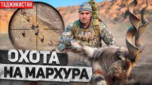 Трофейная охота в Таджикистане. Бухарский Мархур (2024) [4K]