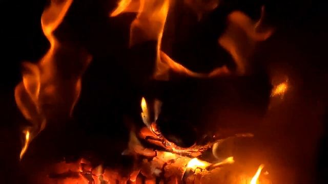 Друзья не позволят вам совершать глупости одному! КОТоБудни, 06.02.2024г. | Moscow, online смотреть онлайн