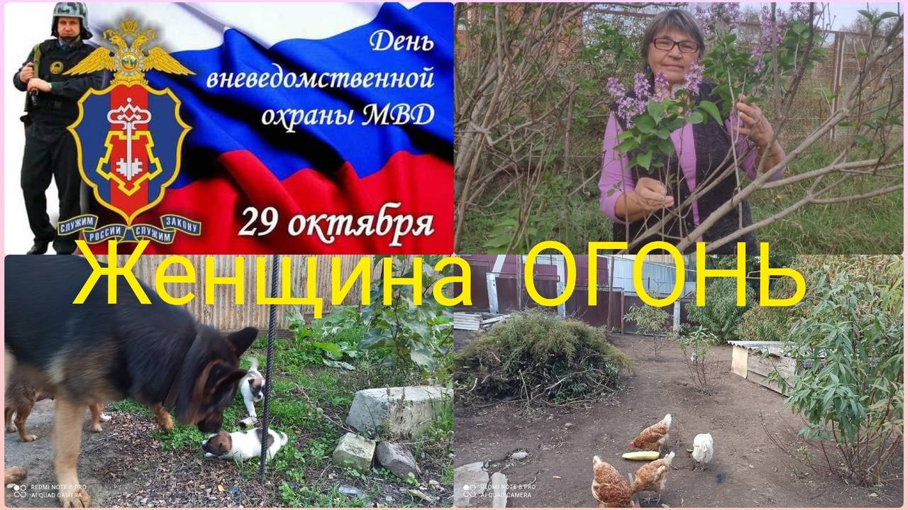 Мама может! Всех на лесоповал. Бардак они тут устроили! смотреть онлайн