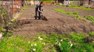 МОИ ПЕРВЫЕ ГРЯДКИ/ГРЯДКИ ИЗ МУСОРА/ ПЕРВАЯ НОЧЁВКА НА ДАЧЕ/УБОРКА ДАЧНОГО ДОМИКА/