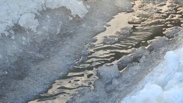 Международный День оптимиста в деревне Москва или КОТоБудни от 27.02.24г. | Online life in Russia смотреть онлайн
