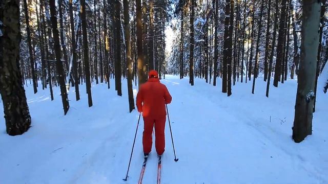 Белочка к нам пришла и орешек свой нашла ☝️ или КОТоБудни от 19.02.24г | Life in Russia Online смотреть онлайн
