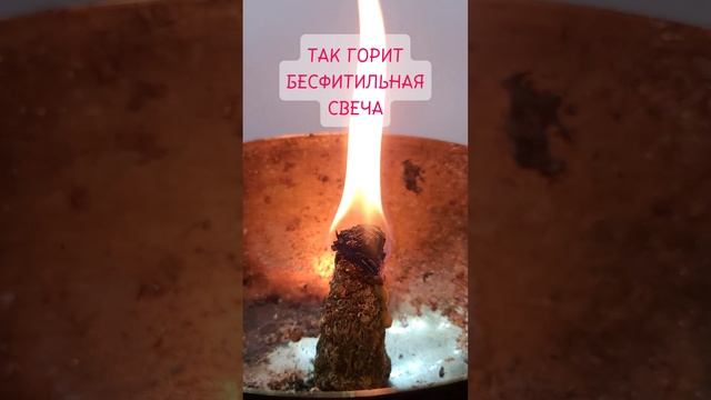 Ведьмина свеча. Заказать можно: https://t.me/program_svechi смотреть онлайн