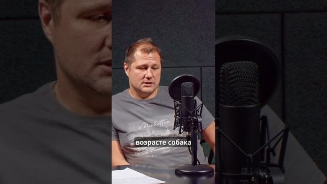 Вакцинация для собак, чтобы быть безопасными для людей смотреть онлайн