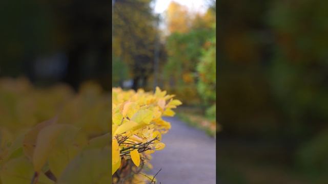 Осенью в Политехе тоже клёво смотреть онлайн
