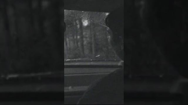 Завтра не будет никогда #триллер #независимоекино #кино #фильмы смотреть онлайн