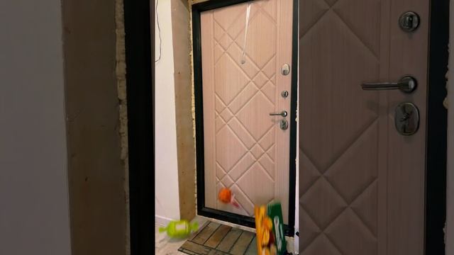 Policeman chasing thief #shorts #humor #family #mom #lerochka смотреть онлайн