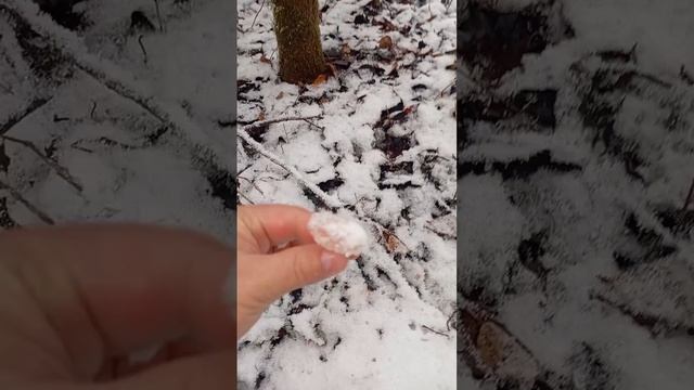 Зимняя Сказка смотреть онлайн