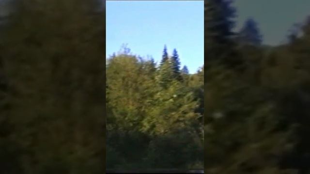 Экстрасенс видит энергию в лесу #путешествия #молебка #фильм #пришельцы #экстрасенс смотреть онлайн