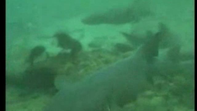 Reading Exp - Unit 6 смотреть онлайн