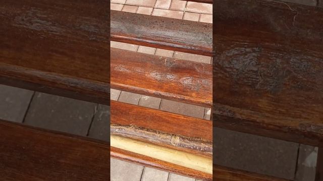 Штамбовая роза из питомника Кордес от покупки до посадки. Часть первая. смотреть онлайн