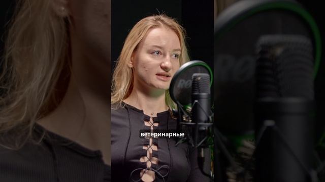 Нервный гастрит у собак. Почему собака ведет себя странно? смотреть онлайн