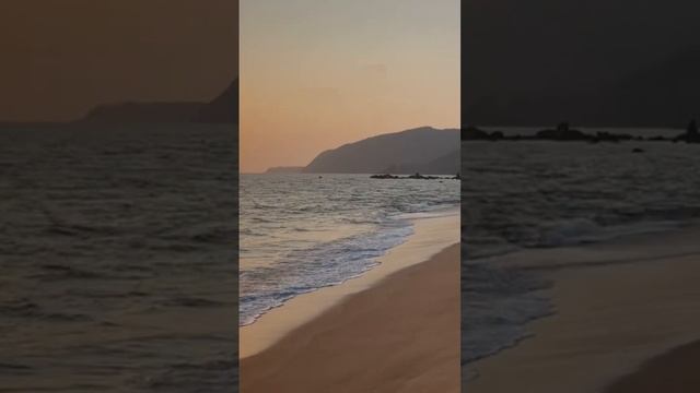 Собаки на индийском пляже #путешествия #travel #индия #собака #собаки #пляж смотреть онлайн