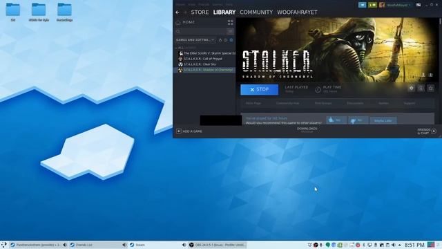 Stalker Crash FIx on Linux смотреть онлайн
