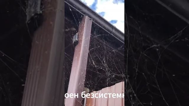 Виды Богудонии в Таганроге #путешествия #travel #азовскоеморе #богудония смотреть онлайн