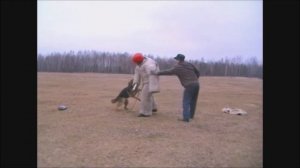 Удушающий приём против собаки (дополнено).
