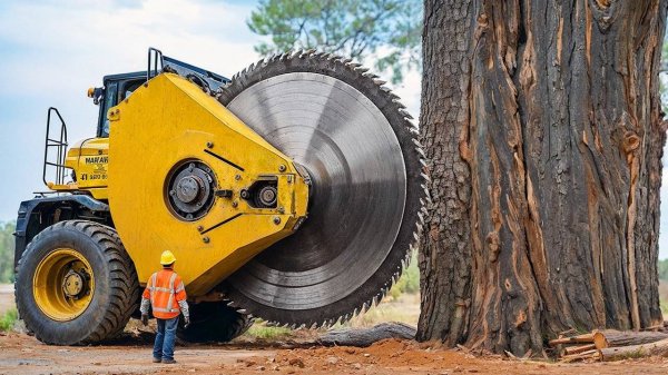 ЗАЛИПАТЕЛЬНЫЕ ВИДЕО РАБОТНИКОВ, КОТОРЫЕ ИДЕАЛЬНО ДЕЛАЮТ СВОЮ РАБОТУ