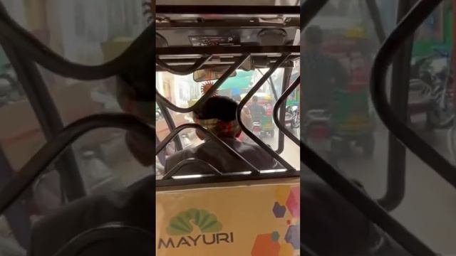 Тук тук на узких улицах #варанаси #индия #туктук #колесосансары смотреть онлайн