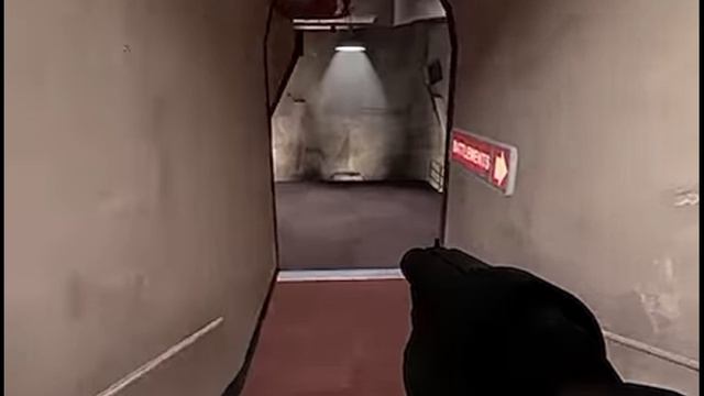 2fort_anomaly.mp4