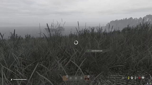 DayZ Неизданное 2