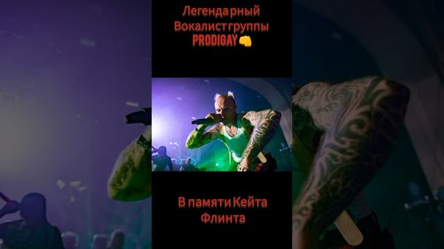 #inshot смотреть онлайн