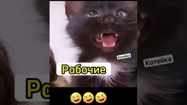 План работы