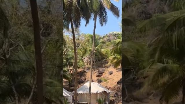 Шатры на Кола бич #путешествия #travel #индия #пляж смотреть онлайн