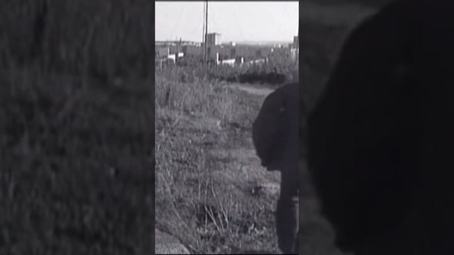 Надо что то делать #кино #триллер #фильм смотреть онлайн