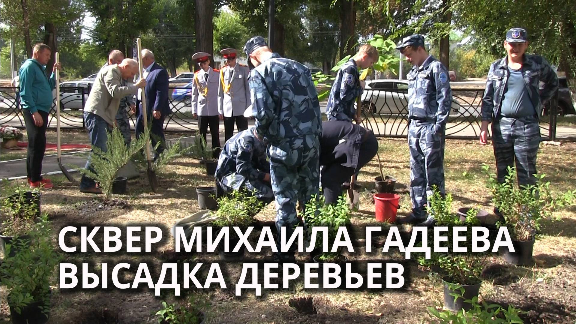 В сквере имени Михаила Гадеева высадили 101 дерево смотреть онлайн
