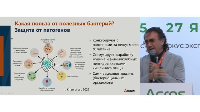 «Инновационные технологии повышения эффективности и безопасности бизнеса в производстве свинины» смотреть онлайн