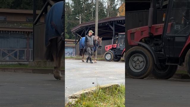 Тренинг для руководителей BUSINESS HAPPY смотреть онлайн