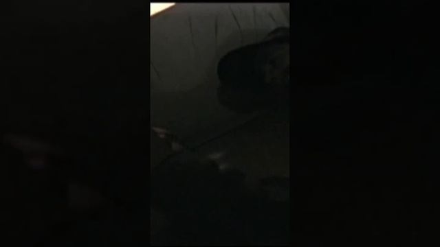 Ты зачем сюда приехал #кино #короткометражка смотреть онлайн