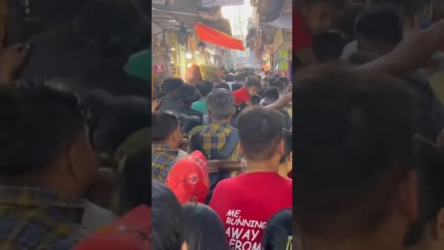 Давка в индийской толпе по дороге в храм Кришны #путешествия #индия #travel #вриндаван #индия смотреть онлайн