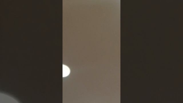 мои нет в лапкерах